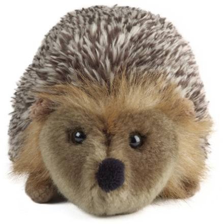 Plush toy hedgehog on a white background