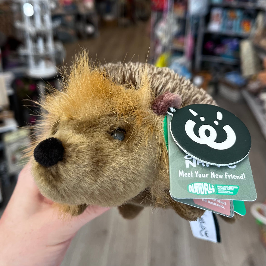Hedgehog plush with tags attached