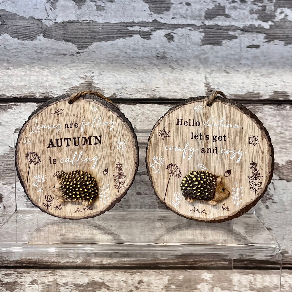 Two wooden circular decorations with hedgehog illustrations and autumn-themed text on a wooden surface.